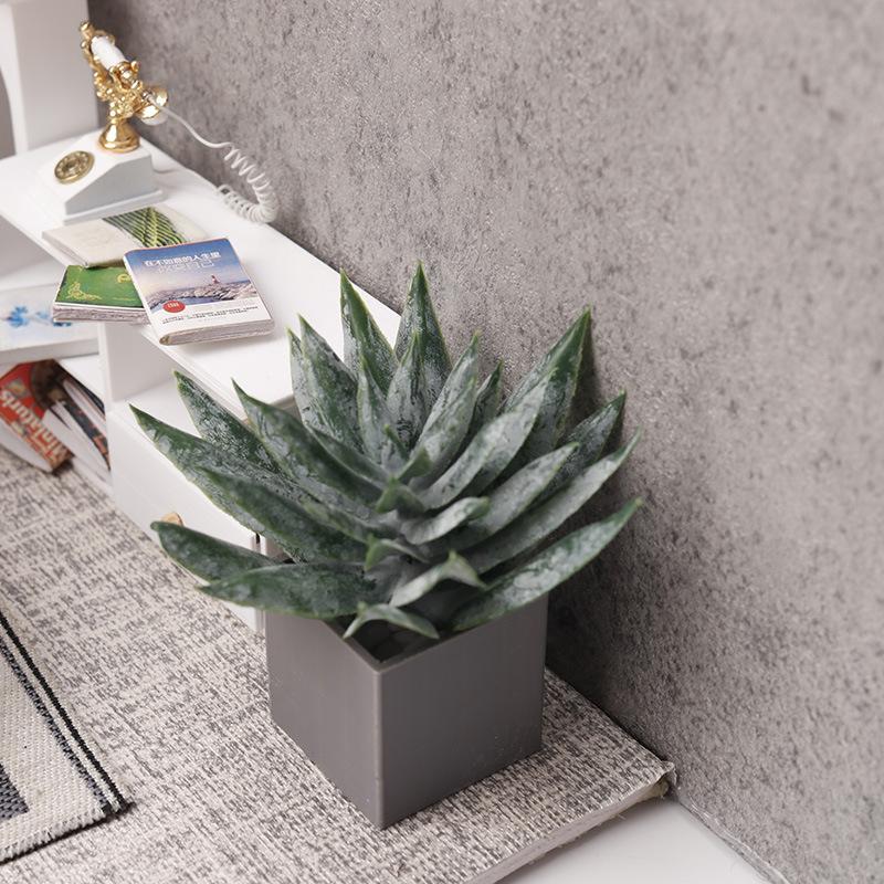 Miniature Aloe Vera Potted Pla - Aloe Vera Pot review and price