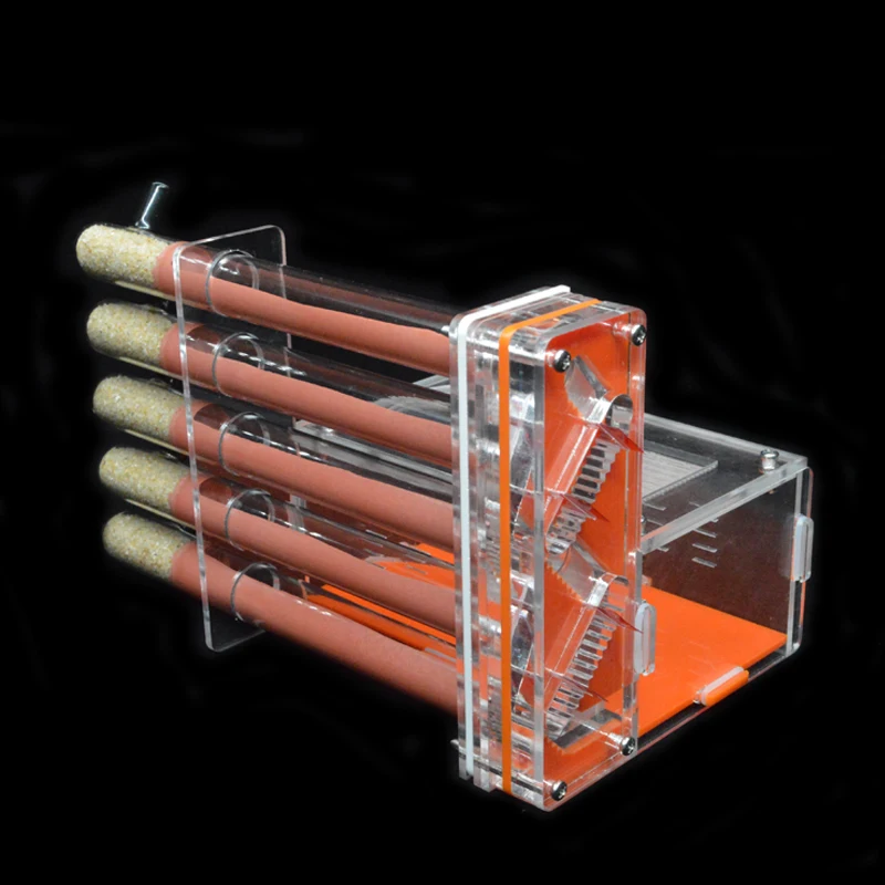 DIY Acrylic Ant Farm 5 pcs 18- - Begonia Rex review and price