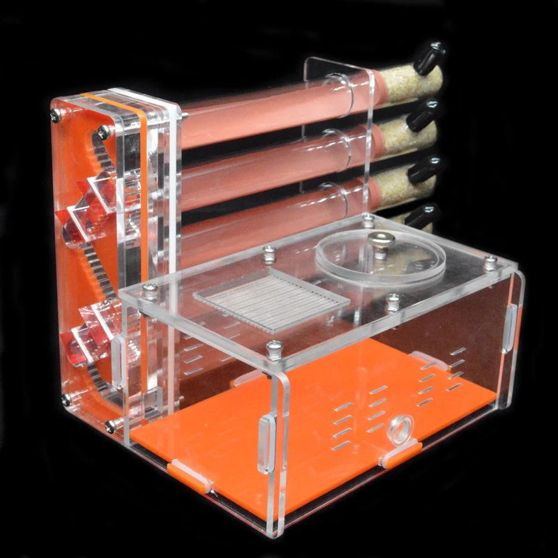 DIY Acrylic Ant Farm 5 pcs 18- - Begonia Rex review and price