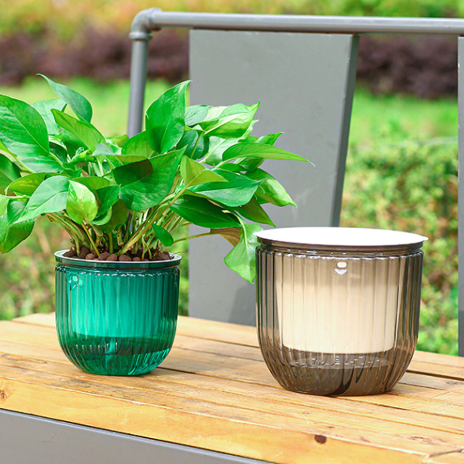 Automatic Self Watering Plant  - Spider Plant Hanging review and price