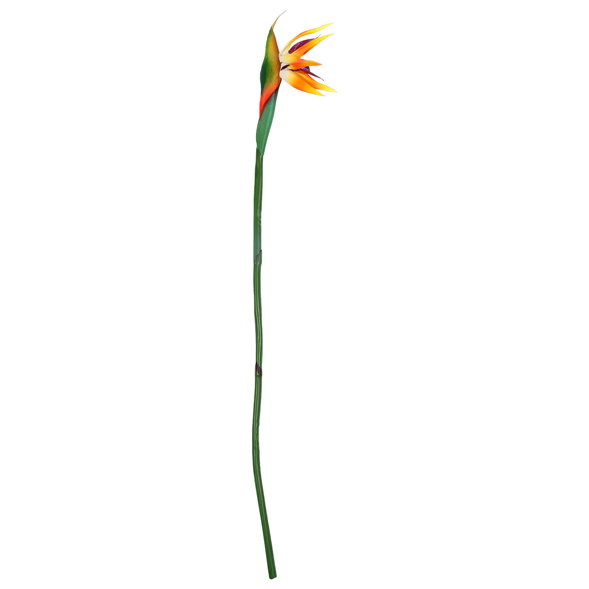 Artificial Strelitzia Flower R - Bird Paradise Strelitzia review and price