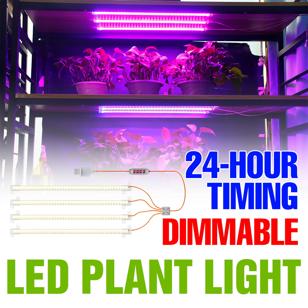 LED Indoor Plant Light Bar USB - Echeveria Succulent review and price