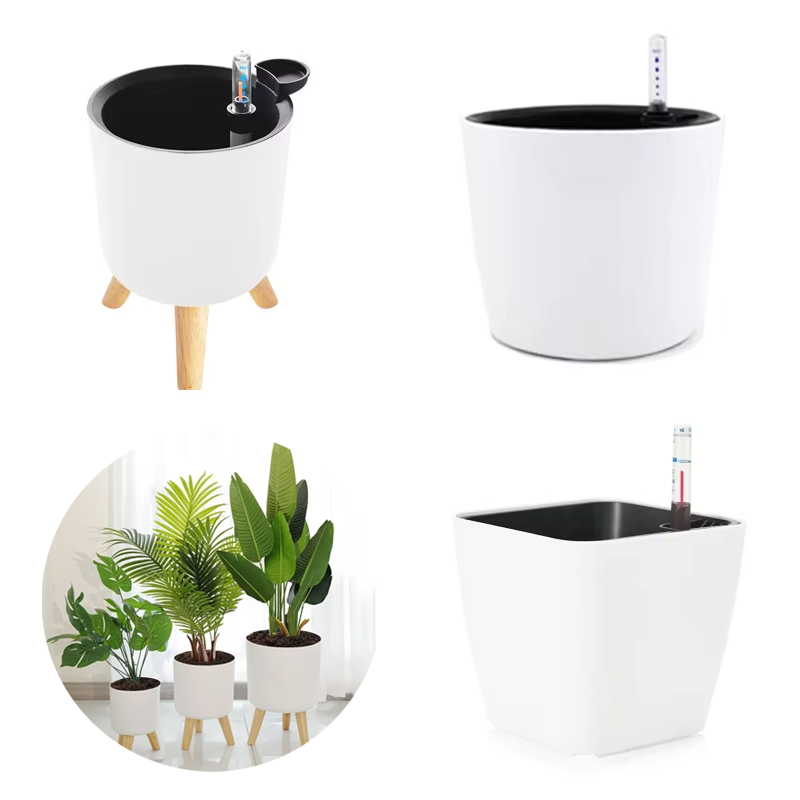 1PC Indoor Plastic Flowerpot S - Aloe Vera Pot review and price