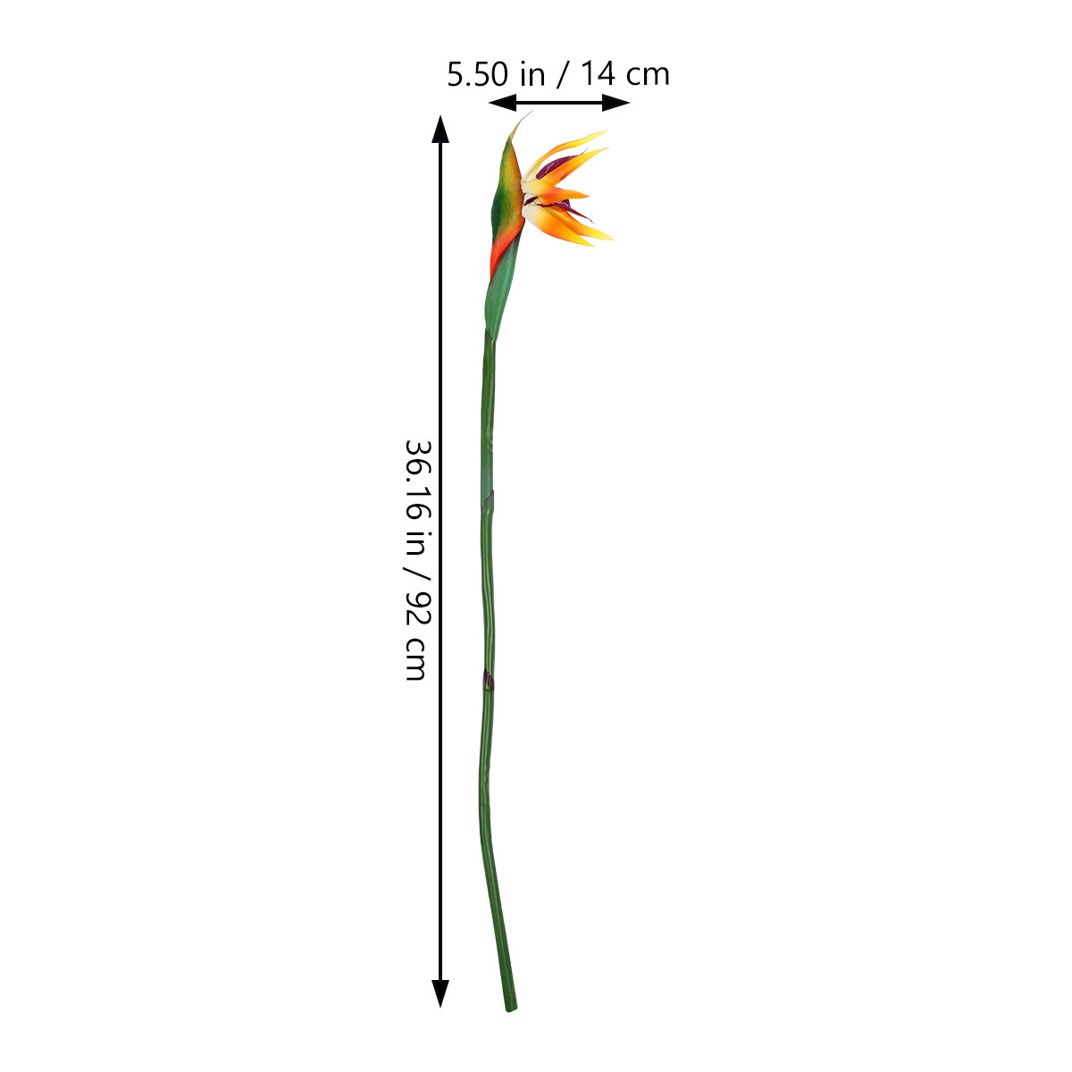 Faux Strelitzia Flower Artific - Bird Paradise Strelitzia review and price
