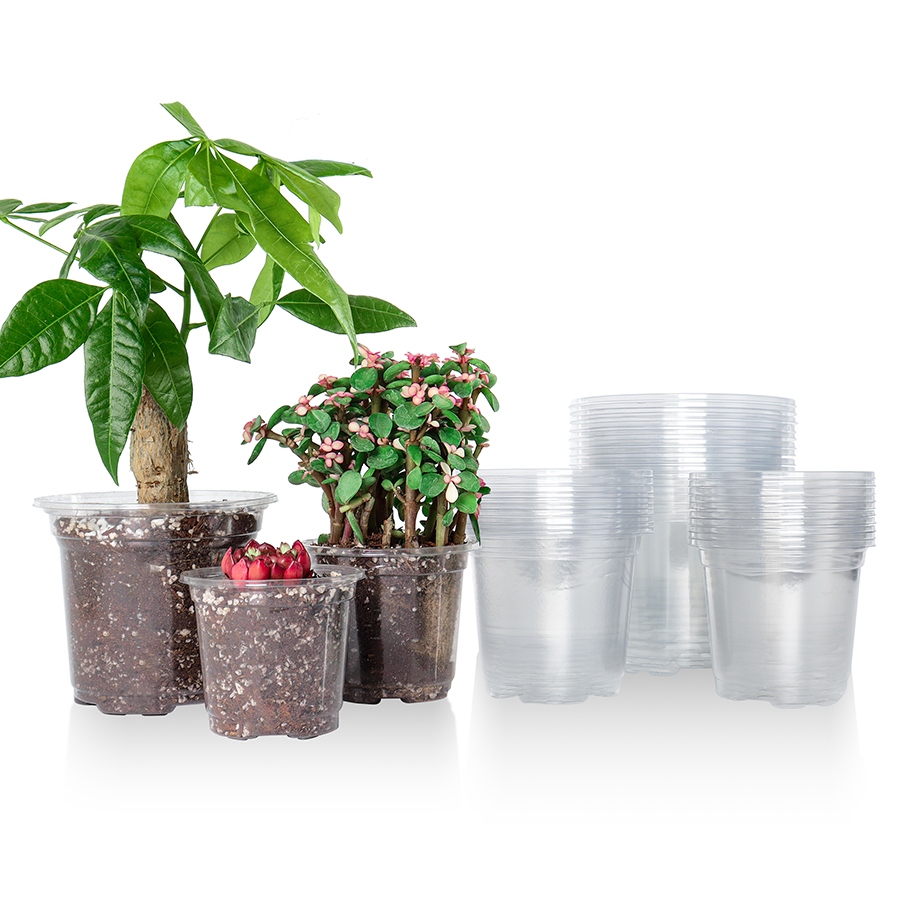 30 Packs 3.5/4/5 Inch Clear Nu - Aloe Vera Pot review and price