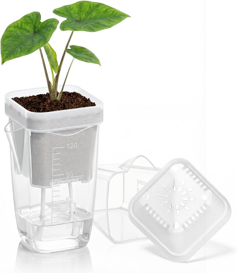 5/1PCS Transparent Self Wateri - Aloe Vera Pot review and price