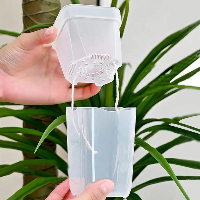 5/1PCS Transparent Self Wateri - Aloe Vera Pot review and price