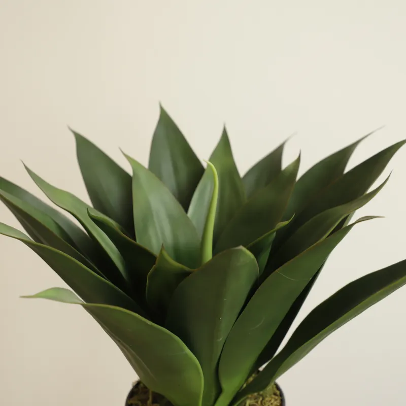 Artificial Potted Aloe Vera Pl - Aloe Vera Pot review and price
